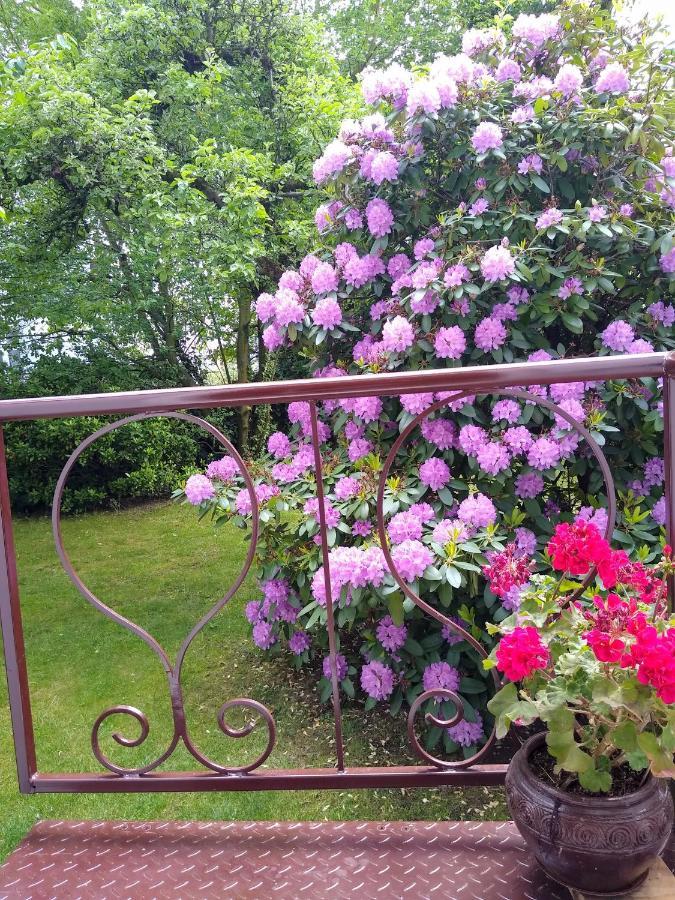 Alster City Garden Villa Hambourg Extérieur photo